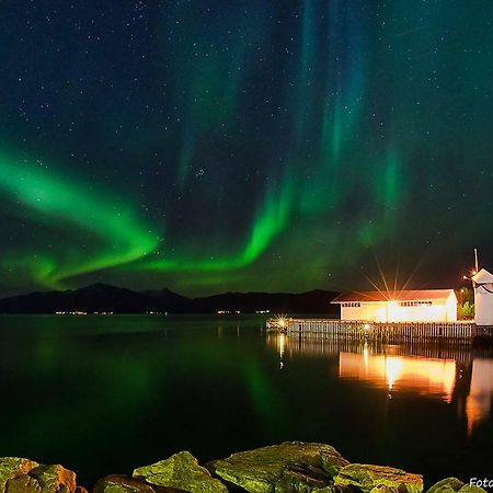 Lofoten Gate Hostel Lodingen Esterno foto